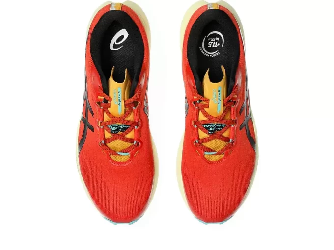 Fuji Lite 6 Fuji Lite 6