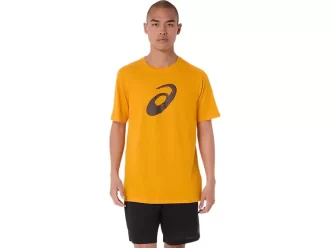 ΜΠΛΟΥΖΑ ΜΕ ΚΟΝΤΟ ΜΑΝΙΚΙ ΜΕ ΠΙΝΕΛΟ