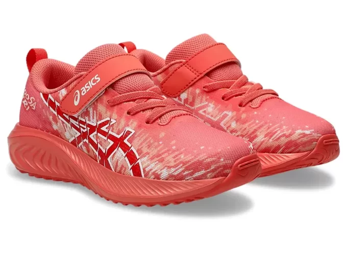 ΠΡΟΣΧΟΛΙΚΟ ΣΗΜΕΙΟ PRE NOOSA TRI 16 ΠΡΟΣΧΟΛΙΚΟ ΣΗΜΕΙΟ PRE NOOSA TRI 16