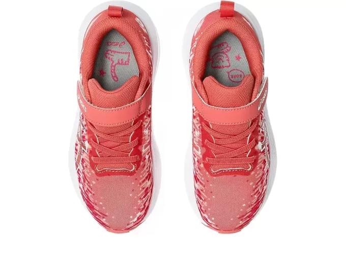 ΠΡΟΣΧΟΛΙΚΟ ΣΗΜΕΙΟ PRE NOOSA TRI 16 ΠΡΟΣΧΟΛΙΚΟ ΣΗΜΕΙΟ PRE NOOSA TRI 16