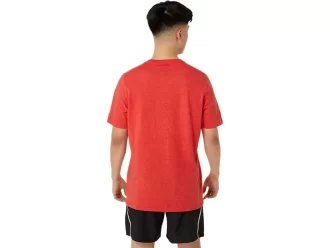 UNISEX ASICS ΙΔΡ. 1977 MOUNTAIN TEE