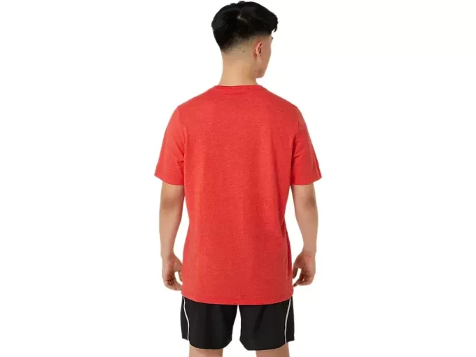 UNISEX ASICS ΙΔΡ. 1977 MOUNTAIN TEE